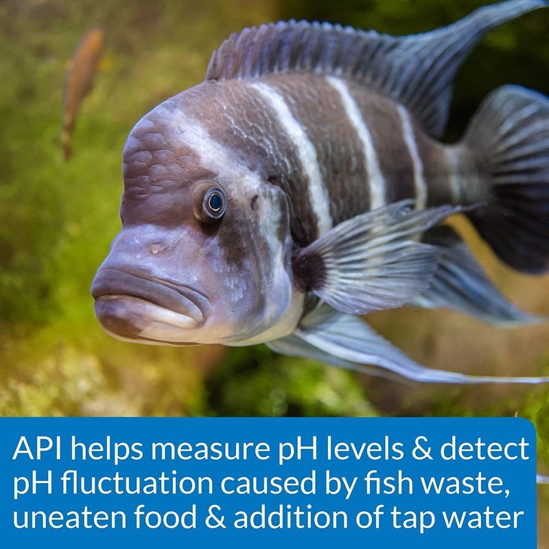 API High Range pH Test Kit - Aquatic Connect