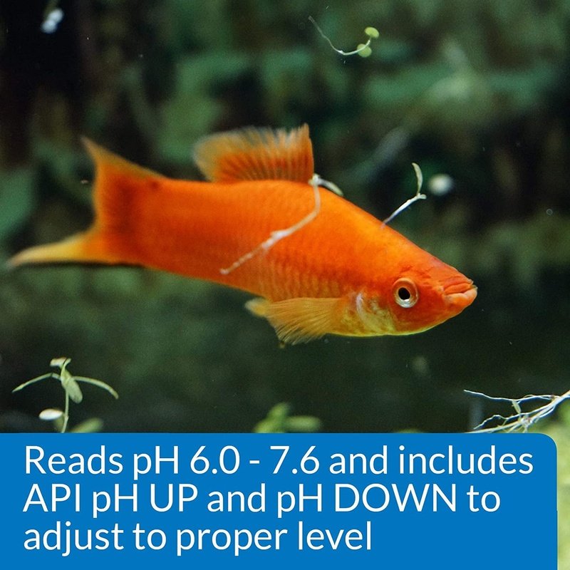 API pH Test and Adjuster Kit for Freshwater Aquariums - Aquatic Connect