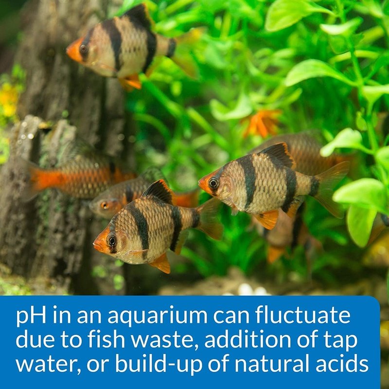 API pH Test and Adjuster Kit for Freshwater Aquariums - Aquatic Connect