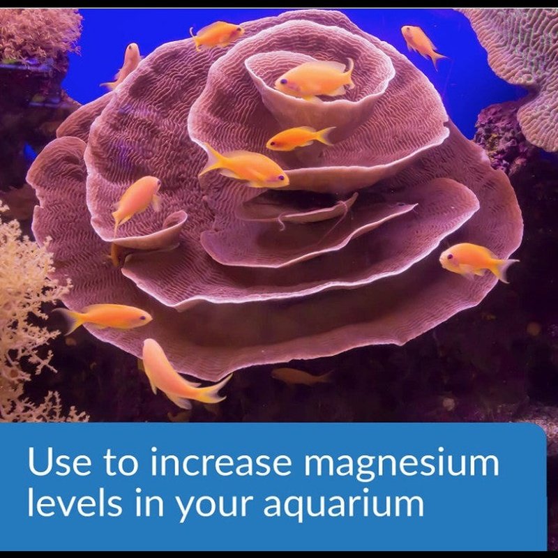 API Marine Magnesium - Aquatic Connect