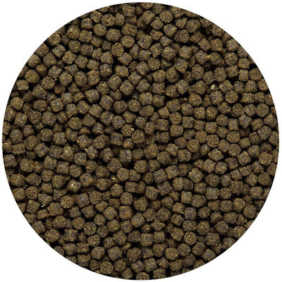 Hikari Cichlid Excel Floating Mini Pellet Food - Aquatic Connect