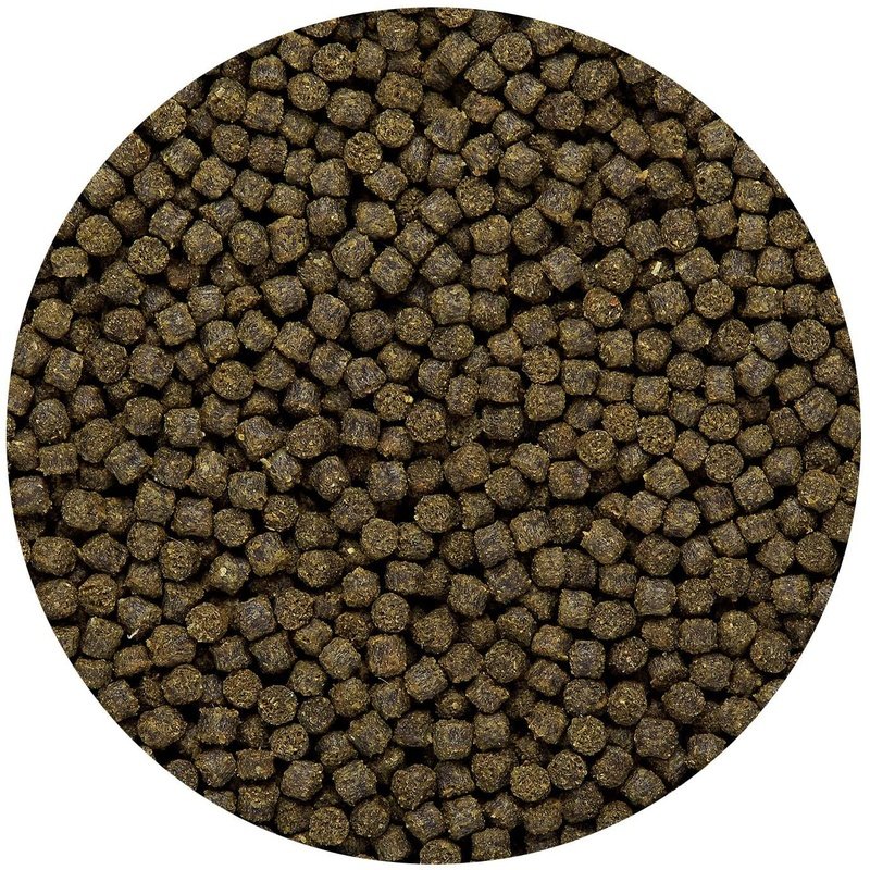 Hikari Cichlid Excel Floating Mini Pellet Food - Aquatic Connect