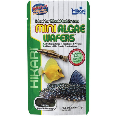 Hikari Mini Algae Wafers Sinking Herbivore Food - Aquatic Connect