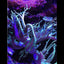 Seachem Reef Fusion 2 - Aquatic Connect