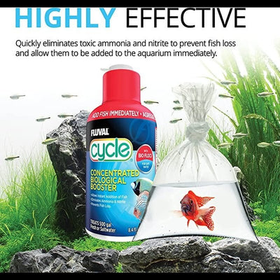 Fluval Biological Enhancer Prevents Fish Loss - Aquatic Connect